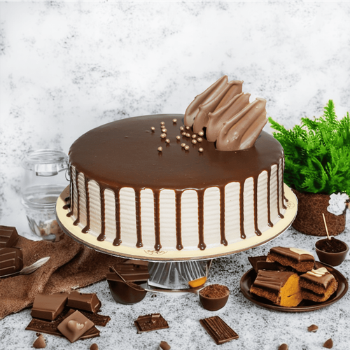 Choco Crunch Hazelnut Cake